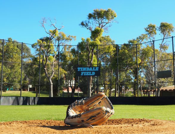 Carine Cats Baseball home ground Tindale Field