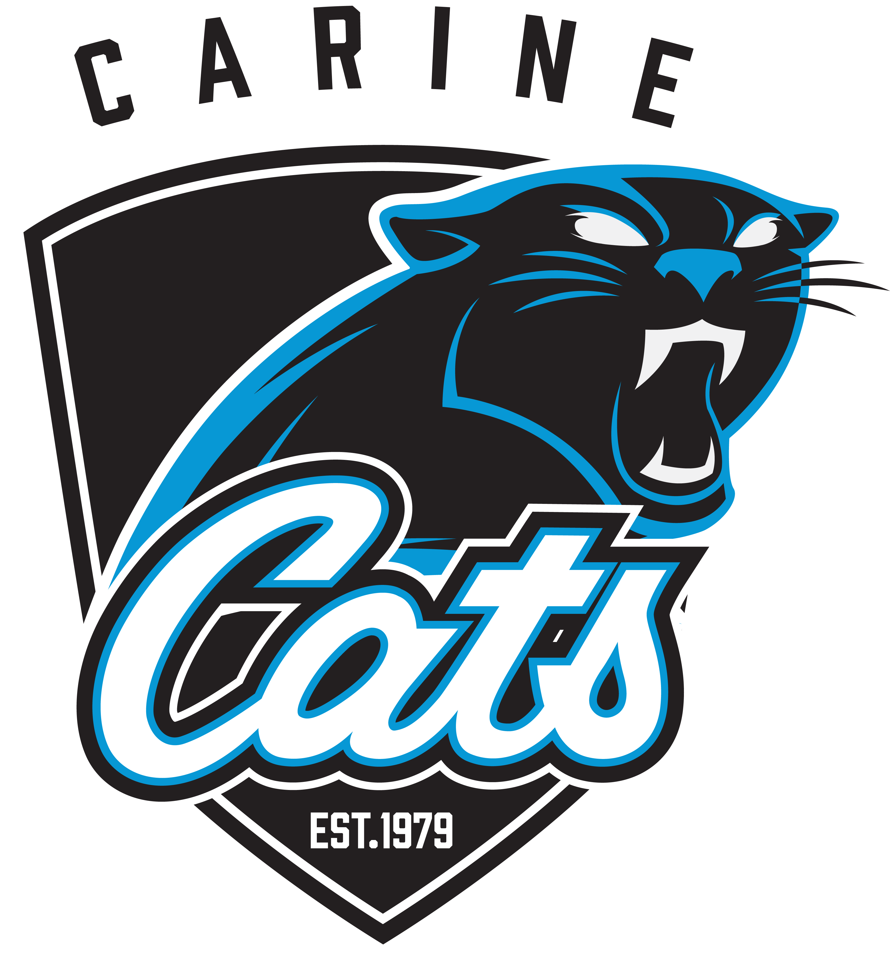 CARINE CATS<span>BASEBALL</span>